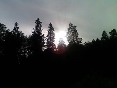 DSC00063.JPG