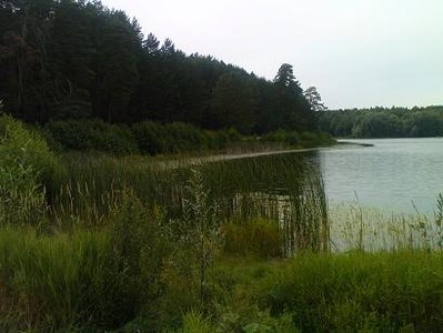 DSC00065.JPG
