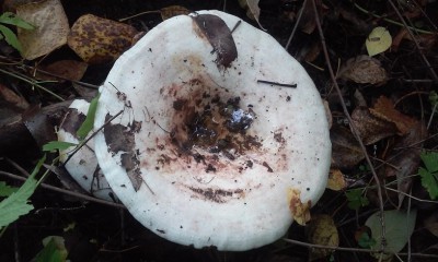 20150904_075943.jpg