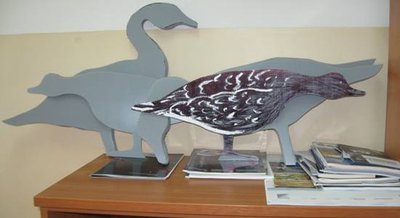 IMG_2250.jpg