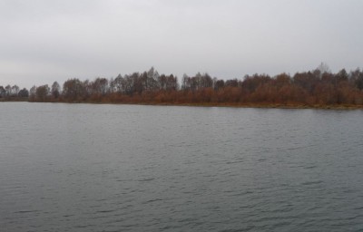 SAM_3025_1.jpg