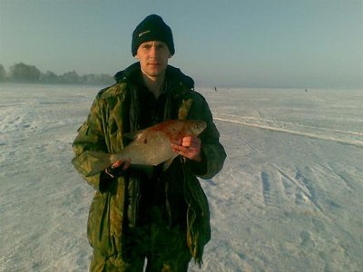 на рассвете в тумане