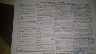 распродажа1.jpg