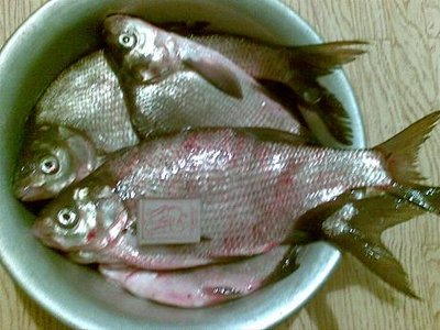 07042010207.jpg