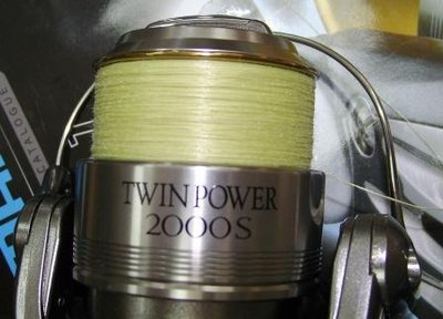 Twin.JPG