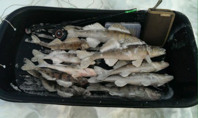 IMG-20160121-WA0058.jpg