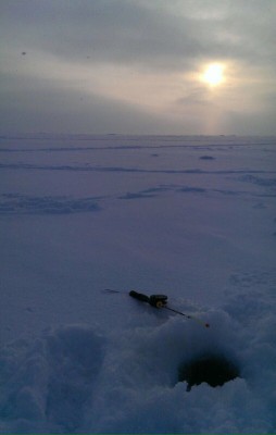 IMG-20160124-WA0035.jpg