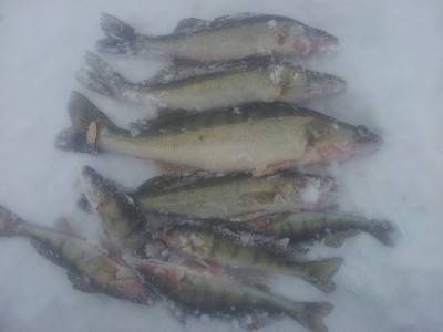 20160130_142047.jpg