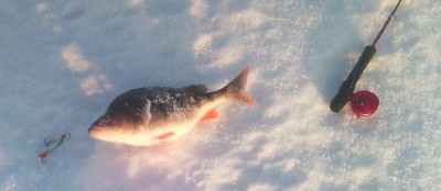 IMG_20160206_131838.JPG