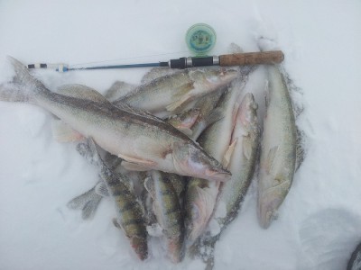 20140216_153737.jpg