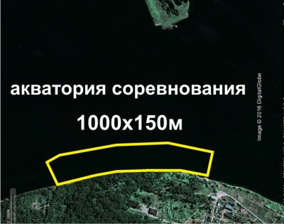плакат жумба2016.JPG