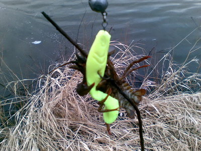 15.04.2010(7.15)01.jpg