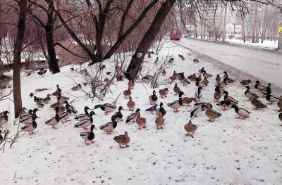 Казань, начало марта.jpg