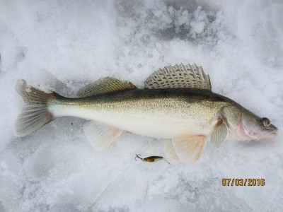 IMG_5288.JPG