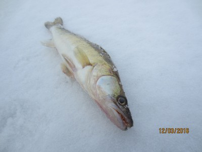 IMG_5307.JPG