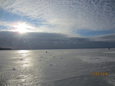 IMG_5318.JPG
