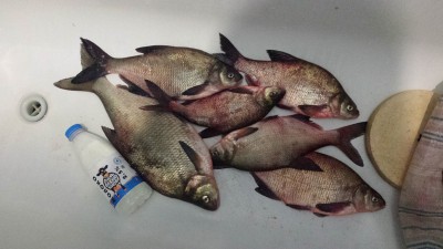 20160327.jpg
