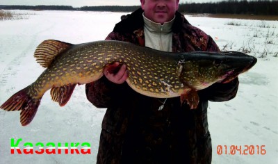01.04.2016. утрянка
