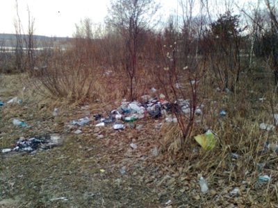 Без комментариев
