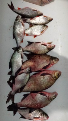 20160402.jpg