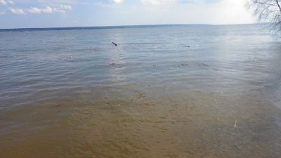 IMG-20160416-WA0015.jpeg