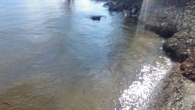IMG-20160416-WA0017.jpeg