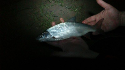 IMG-20160501-WA0049.jpg