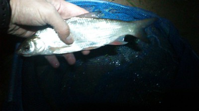 IMG-20160501-WA0047.jpg