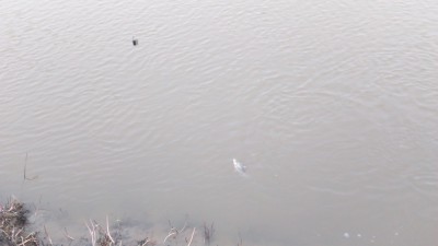 DSC_0068.JPG