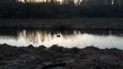 20160426_183810.jpg