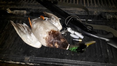 20160425_210030.jpg