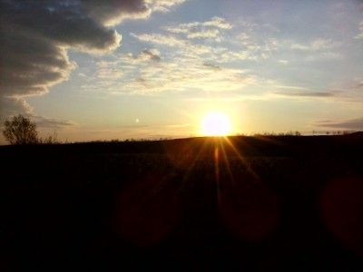 IMG_20160506_042917.jpg