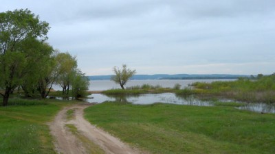 SAM_3311_1.jpg