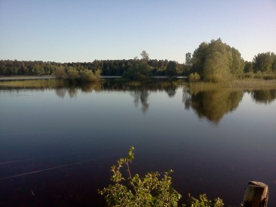 Залив