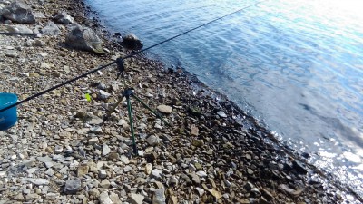 IMG-20160705-WA0021.jpeg