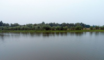 SAM_3493_1.jpg