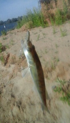 20160804_155334-1-240x424.jpg