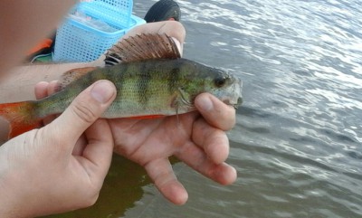 20160811_174901-1280x770.jpg