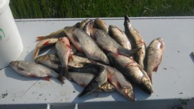 IMG_20160726_072455.jpg