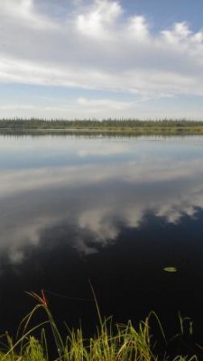 IMG_20160815_051609.jpg
