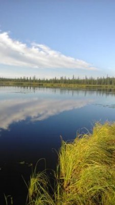 IMG_20160815_051702.jpg