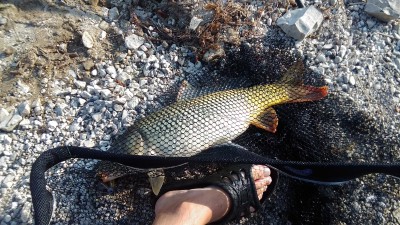 P_20160821_073758.jpg
