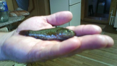 IMG-20160824-WA0002.jpg