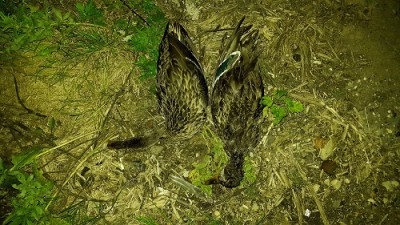 20160912_205522.jpg