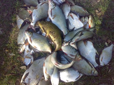 10052010127.jpg