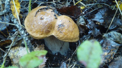 DSC_0737.jpg