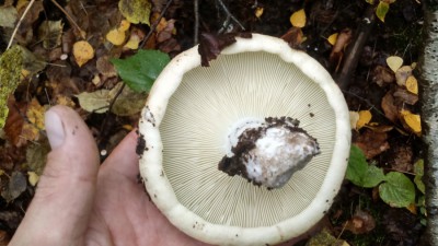 DSC_0735.jpg