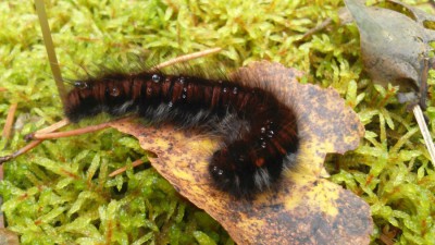 DSC_0758.jpg
