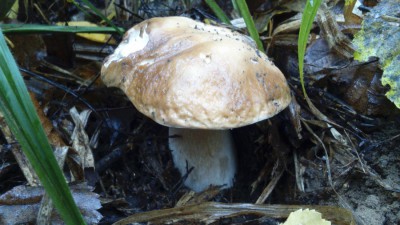 DSC_0751.jpg