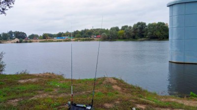 SAM_3756_1.jpg